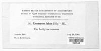 Image Associated With the Occurence